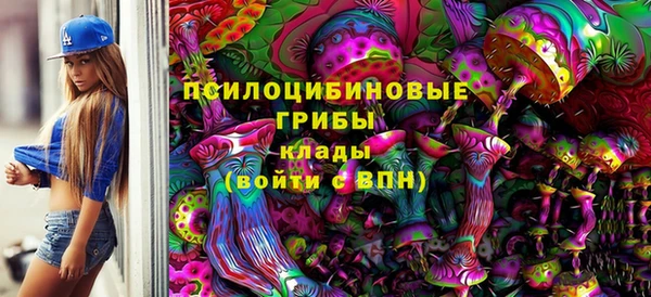 мдма Приозерск