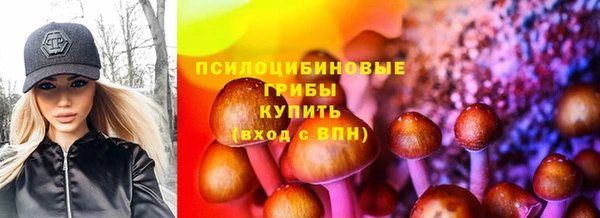 спиды Алексин