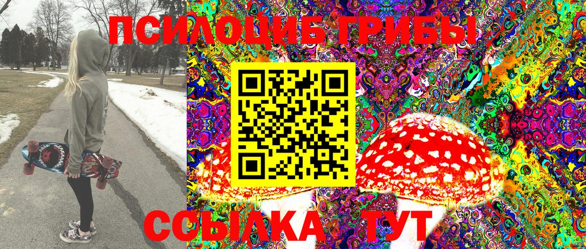 Псилоцибиновые грибы Psilocybine cubensis Светлоград
