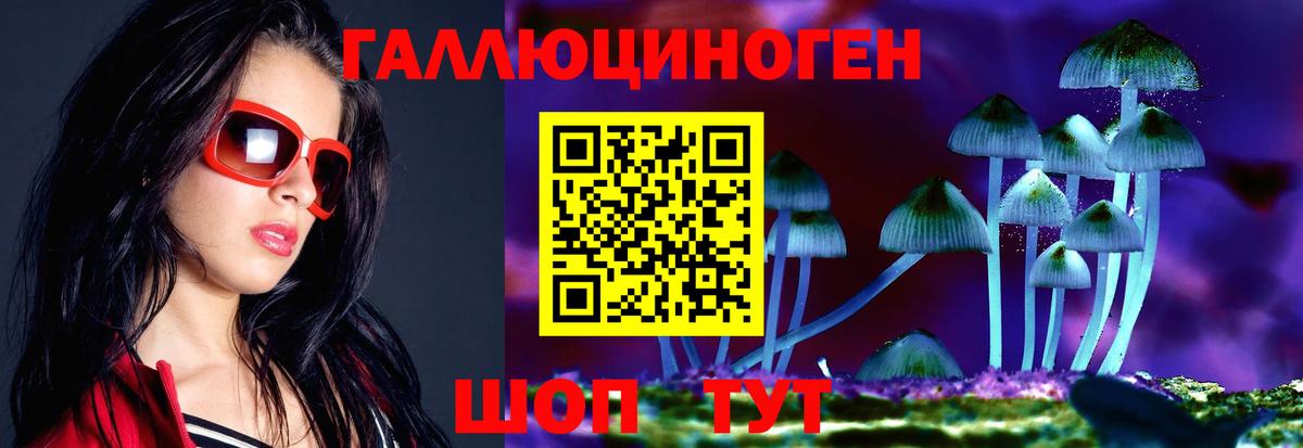 Светлоград  сколько стоит  Вход с VPN  Псилоцибиновые грибы ЛСД 